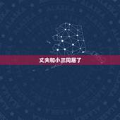 丈夫和小三同居了，我老公出轨跟小三同居了，我可以起诉小三吗？