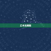 乙木女婚配，乙木男和丁火女的搭配怎么样