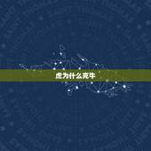 虎为什么克牛，牛和虎相冲吗？