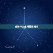 虎和什么生肖最配相冲，虎和什么生肖最配？