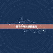 属马今年的感情运势，2021年属马婚姻上的麻烦