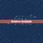 属马的2022的运势运程，90年属马男2022年运势？