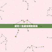 猪的一生最佳婚配属相，属相婚配：男属羊和女属猪相配吗