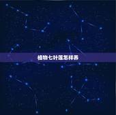 植物七叶莲怎样养，七叶莲的养殖修剪方法？