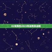 82年狗在2023年运势及运程(幸运之年事业爆发财运亨通)