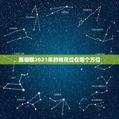 属相猴2021年的桃花位在哪个方位，2021年桃花位是什么方向