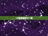 12属相婚配911表，属相婚配十二生肖年龄表