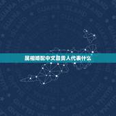 属相婚配中文昌贵人代表什么，属相婚配有什么说法