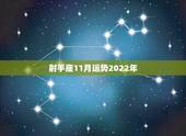 射手座11月运势2022年，属蛇射手座2014年阳历11月运势