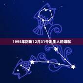 1995年阳历12月31号出生人的婚配，我是阳历1995年12月31日