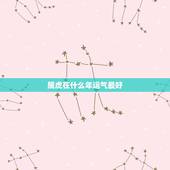 属虎在什么年运气最好，属虎62年生今年各方面运气在+=相中排几