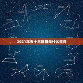 2021年五十三属相是什么生肖，2021年属什么生肖？