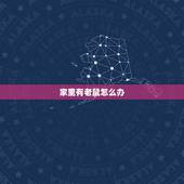 家里有老鼠怎么办，晚上睡觉发现有老鼠怎么办