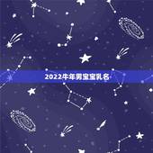 2022牛年男宝宝乳名，牛宝宝乳名大全洋气点的