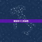 猪生在十二月运势，1971年属猪人农历4月出生的女人今年11，12月运