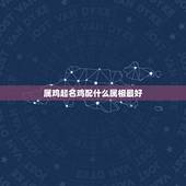 属鸡起名鸡配什么属相最好，属鸡与什么属相配婚好？