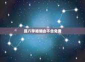 算八字婚姻合不合免费，免费合八字算婚姻