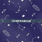 1987年炉中火是什么命，1987炉中火