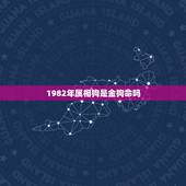 1982年属相狗是金狗命吗，82年属狗的是什么命