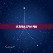 充满阳光正气的网名，阳光朝气励志的网名4字阳光朝气字