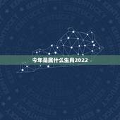 今年是属什么生肖2022，28属什么生肖2022
