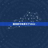 属羊的今年多大了2022，属羊最旺财的年龄段2022年