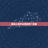 属龙人命中注定的另一半猪，属龙跟属猪的人在一起