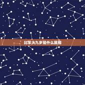 比羊大九岁是什么属相，比六七年羊大九岁属什么是什么命？
