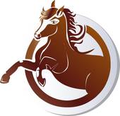 90年属马五月份女命运(五月花开命运如何)