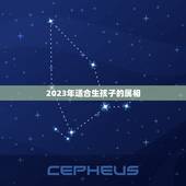 2023年适合生孩子的属相，2021年不适合生孩子的生肖有哪些，什么属