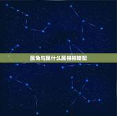 属兔与属什么属相相婚配，属相婚配：男属兔和女属龙相配吗