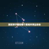 属蛇狮子座和哪个属相共事比较合，属蛇的人与什么星座最配 我是属蛇的狮子