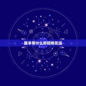 属羊带什么好招桃花运，属羊人2022 年桃花运
