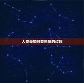 人类是如何交匹配的过程，人类的交配过程是怎么样的？