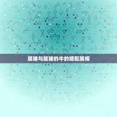 属猪与属猪的牛的婚配属相，属牛和属猪的结婚好吗？