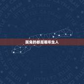 属兔的都是哪年生人，属兔上等命的出生时辰