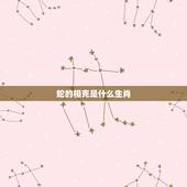 蛇的相克是什么生肖，龙的三合生肖是什么