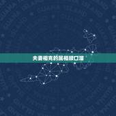 夫妻相克的属相顺口溜，六冲最严重的一组