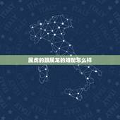 属虎的跟属龙的婚配怎么样，星座屋浅析女属龙的跟属虎的男婚配合适吗