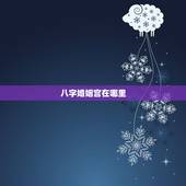 八字婚姻宫在哪里，八字中的配偶宫在哪