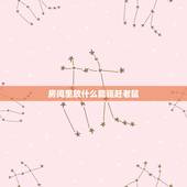 房间里放什么能驱赶老鼠，猫叫声吓老鼠播放