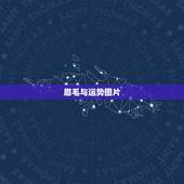 眉毛与运势图片，眉毛影响运势吗