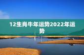 12生肖牛年运势2022年运势，12生肖2022年运势详解