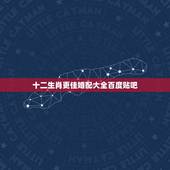 十二生肖更佳婚配大全百度贴吧，十二生肖相克相冲口诀
