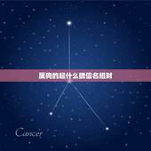 属狗的起什么微信名招财，戊戌属狗微信网名取什么最吉利又旺财？