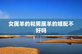 女属羊的和男属羊的婚配不好吗，女属羊1991的和男属羊1979的配婚