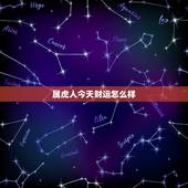 属虎人今天财运怎么样，属虎人的财运方向