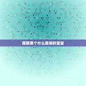 属猴要个什么属相的宝宝，父属猴母属鸡生什么属相的孩子好？
