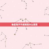 老鼠兔子不成婚是什么意思 84男鼠87女兔婚姻结局