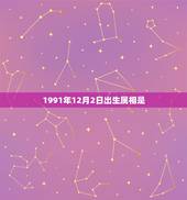 1991年12月2日出生属相是，好朋友他于1991年12月2日出生，他
